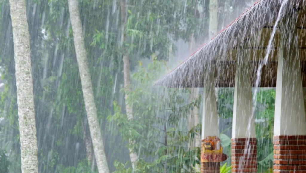 Beneficios al recolectar agua de lluvia