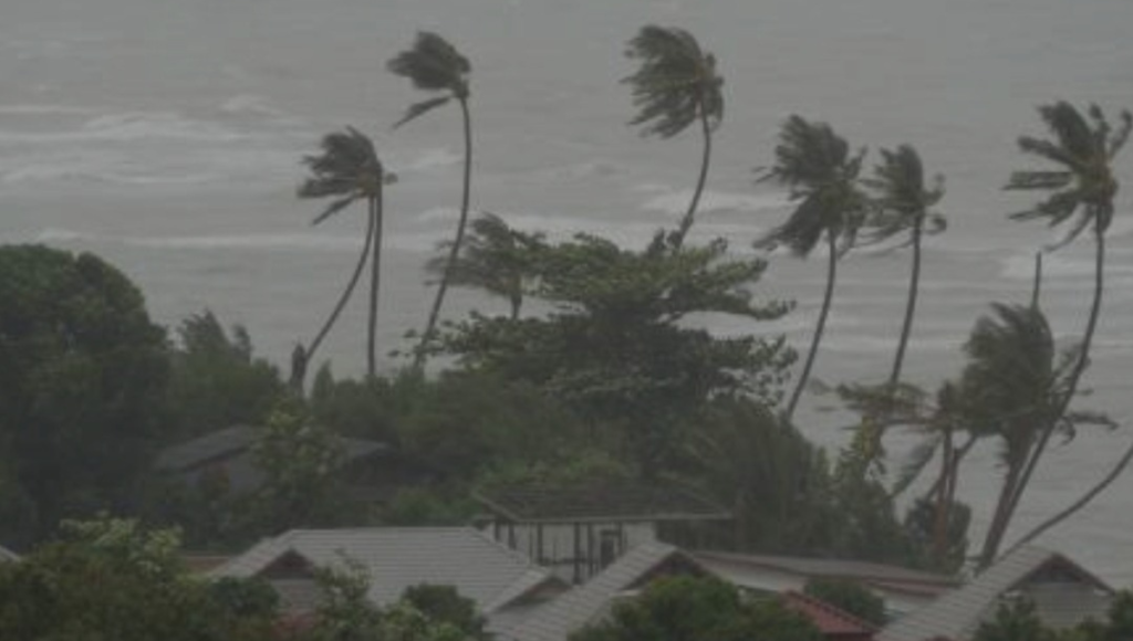 Pronóstico del clima: Precauciones ante ciclones