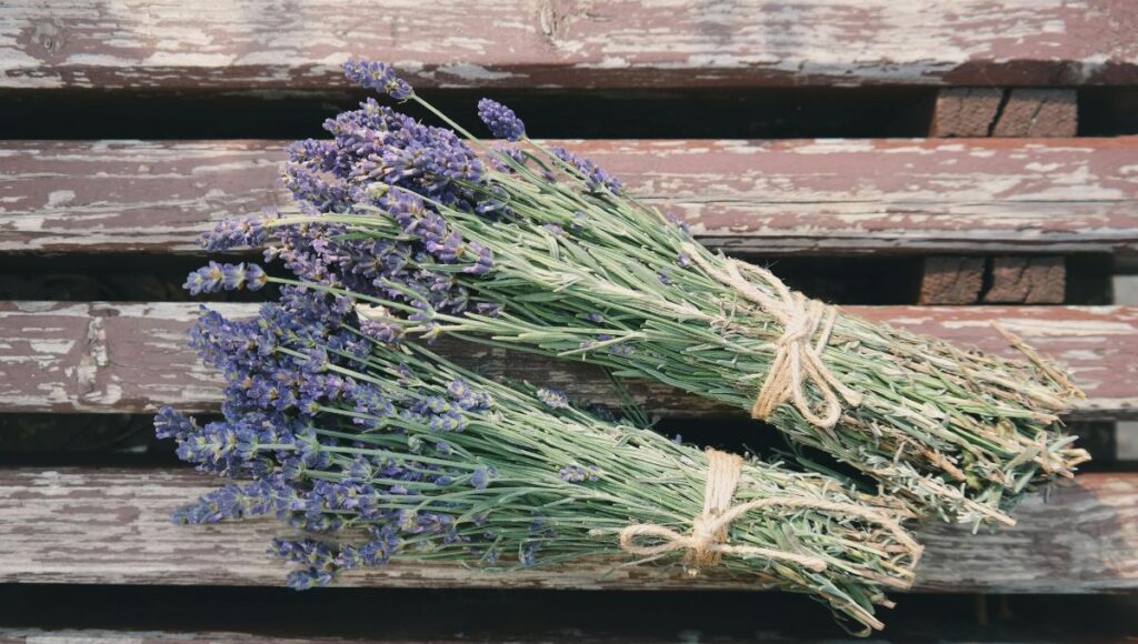 Té de lavanda (1)