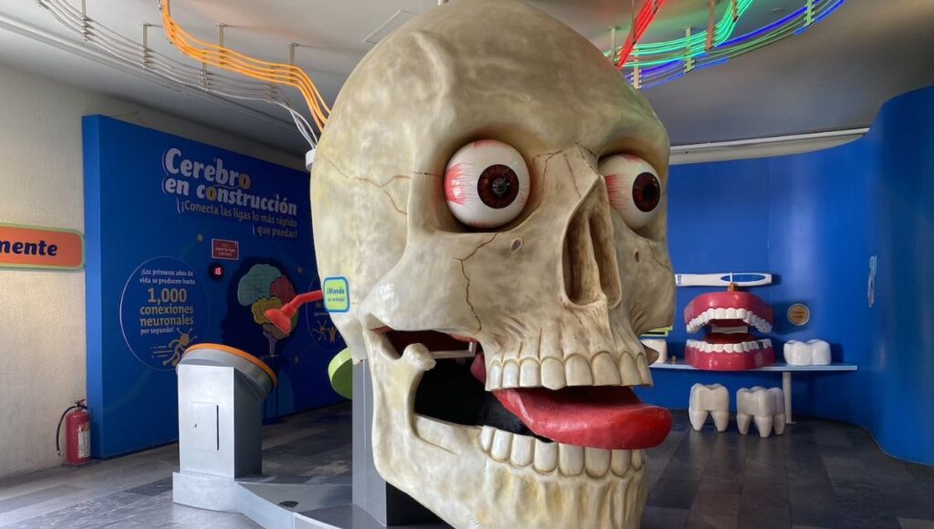 museos gratuitos en la Ciudad de México