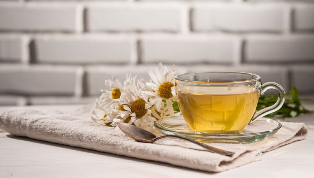 bebidas calientes para dormir mejor