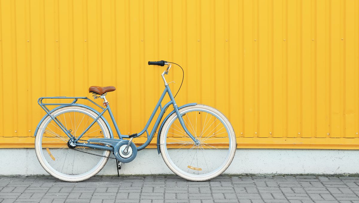 Día internacional de la bicicleta