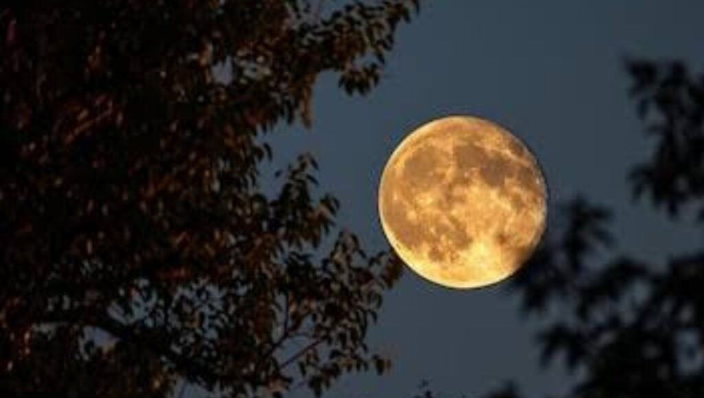 Luna de Fresa (2)