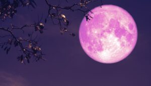 luna de fresa